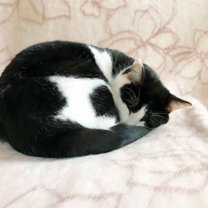 04836a41 9660 45c5 876d e31c8d2d8f8f 1518443385244