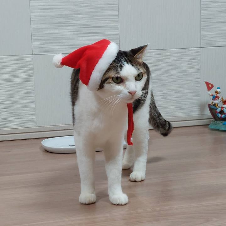 04836c41 e7d1 4295 bb6a 4b1255e43c65 1640258672855