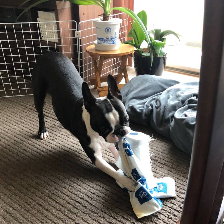 04838126 203f 406a 8c2f f07fd4969bc8 1557632066229