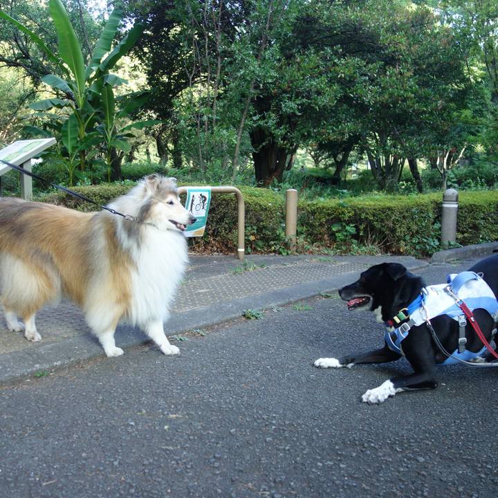 0483b22f c62b 461a 81f9 a22c10318b38 1691281324371