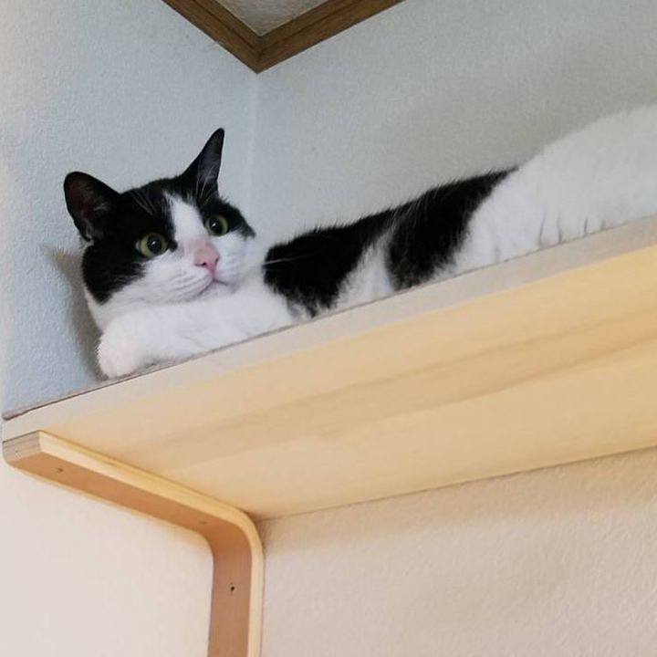 0483ccc0 9c92 4650 8078 9344fce4cff2 1592783123630