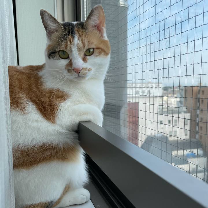 04840df6 75ec 4fe7 9f38 74d09de153f9 1617841431259