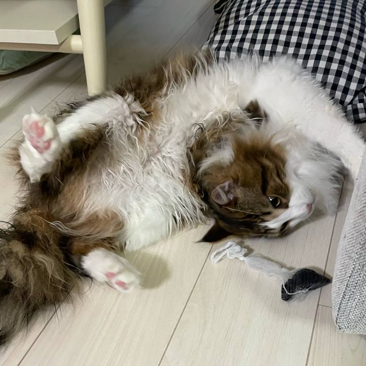 048416e4 0a3f 4f88 924f 982c28b99e61 1646687713105