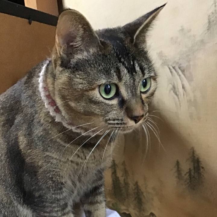 04844818 cf1f 4261 9853 90563f1b15c8 1660996213947