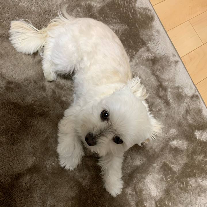 04844824 e01e 4ee3 a7f0 d9ca5357f2ab 1608290072867