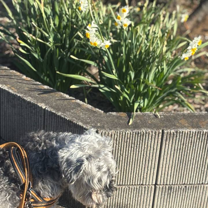 04846abd 5c63 4a23 8f8a 3fbd0e1df8d4 1773643368817