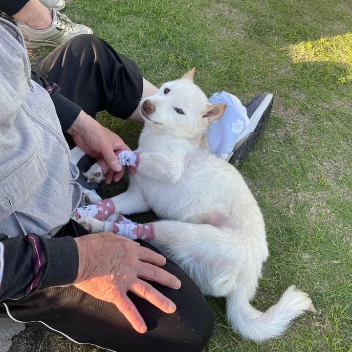 0484fb50 12e2 4e78 9ac5 618620a42bdf 1684929194859