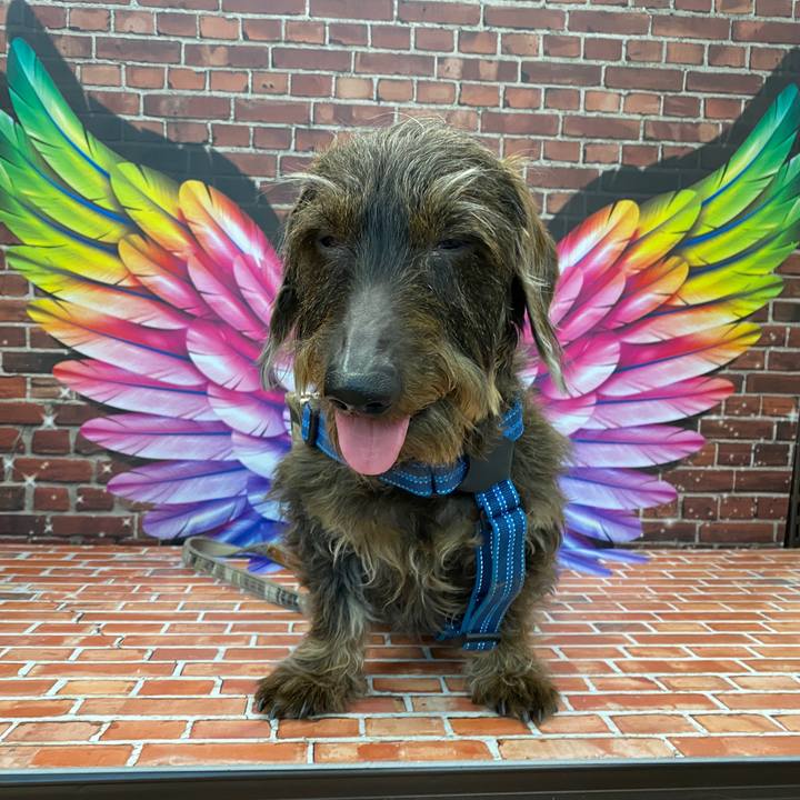 04851262 94cd 463c b38e be29133b7af5 1588153847515