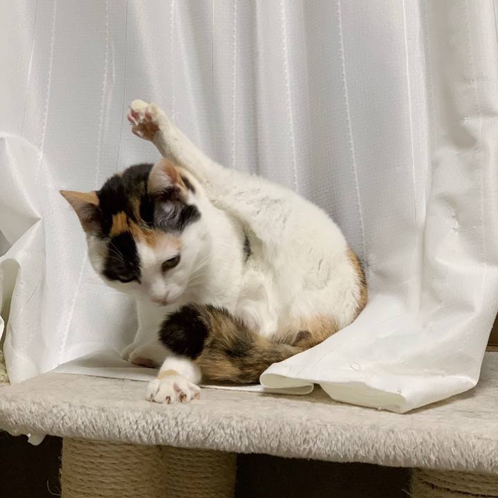 04854c9e ef66 435d 88eb 75c160b5ac88 1549861057954