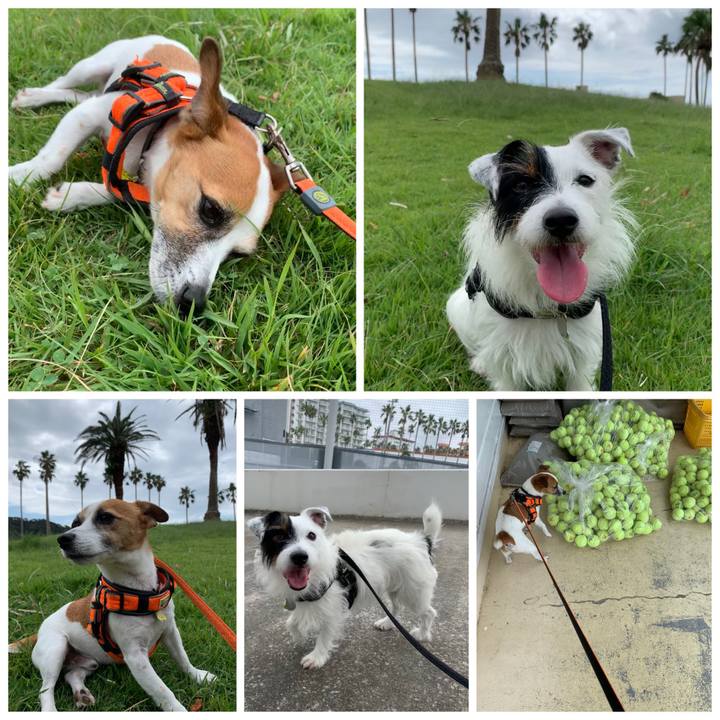 048580bf 86d5 4e6b 8c3c e3ce00fea1a4 1568426159740