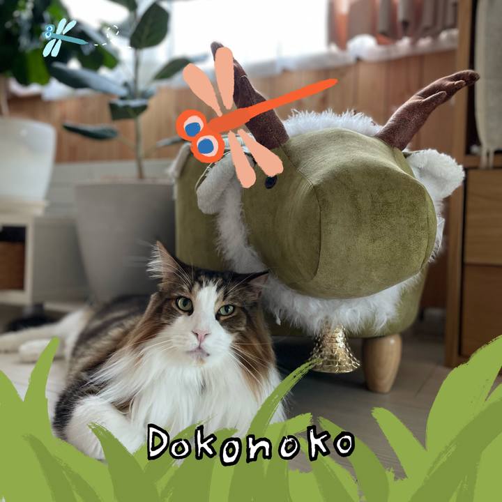 0485d7c6 dc41 4a65 8dd7 225a3cb9e1ef 1727040788263