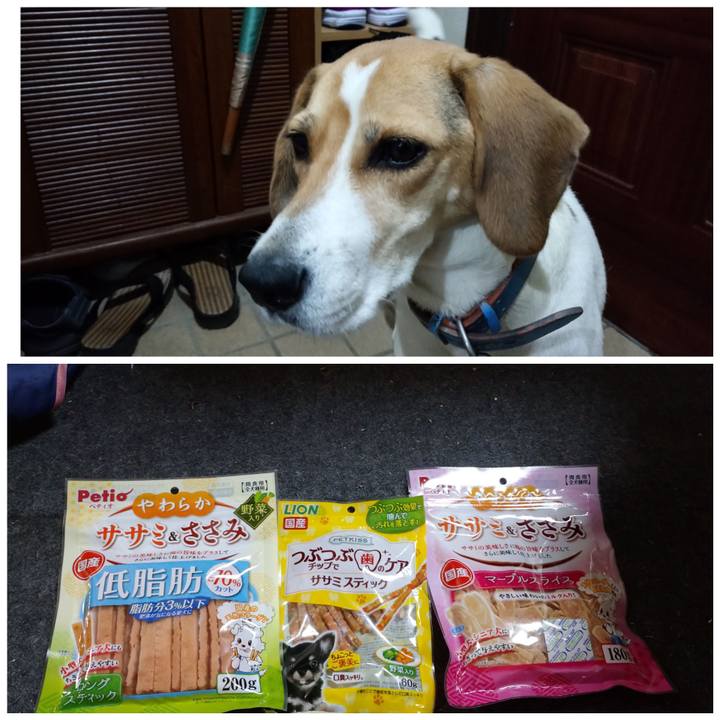 04860be6 ea41 4e49 96f4 749ac18073a5 1603529149635