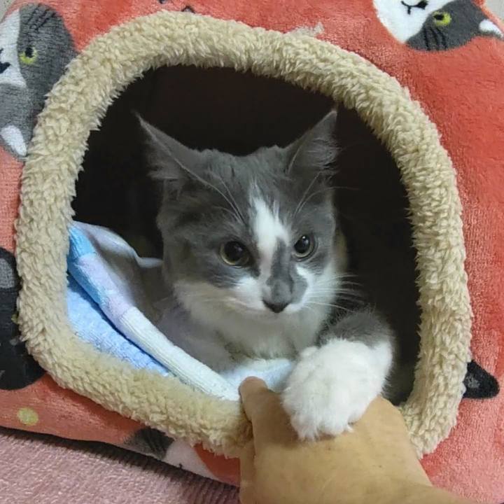 0486178f daa5 4f42 99cc ad52bc34e0d3 1571613559559