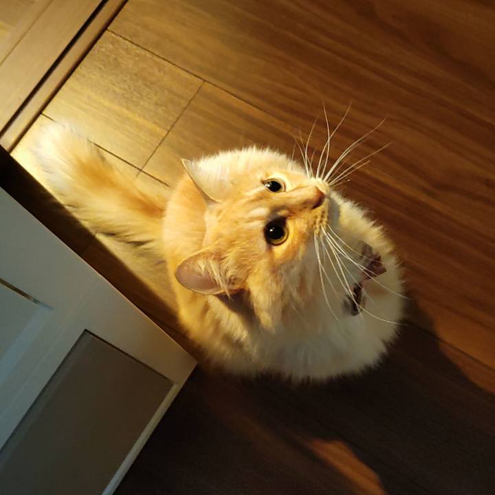 04868563 512d 4d39 a3e3 ff75197bc301 1668550520618