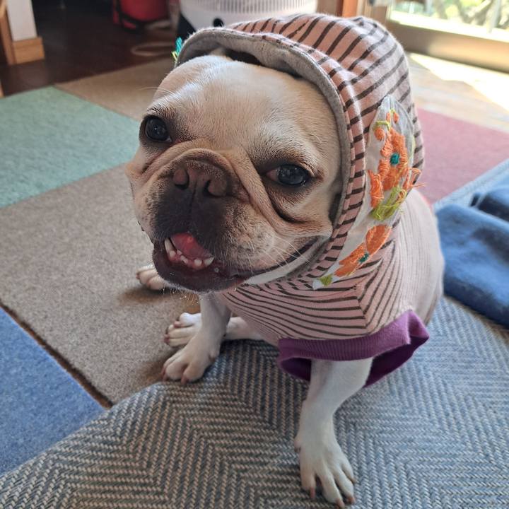 0486a8ad f938 4f09 8865 2ff045918322 1708987720013