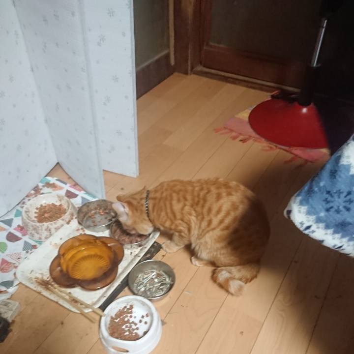 0486e094 08e5 4def 81ef f0a251935517 1645996993087