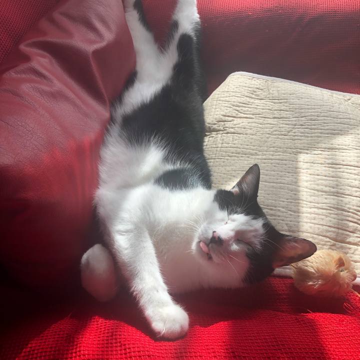 048705ee 4625 42dc 8878 e4c9c55192da 1565505680439