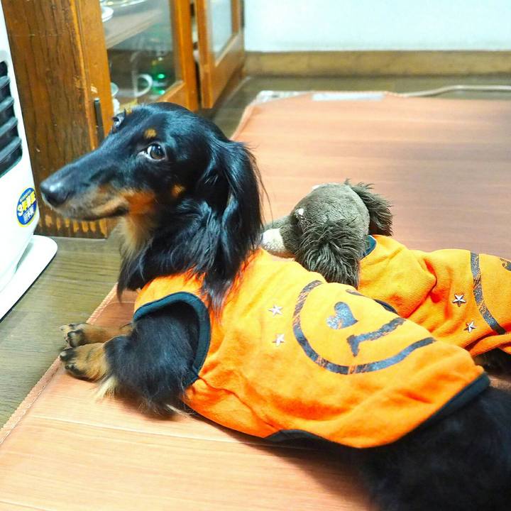 04870af5 f667 4cf4 bc55 69f4598d1e3d 1511497747423