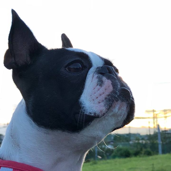 04873c60 7501 4b86 8ad6 f24923d3be04 1530269711340