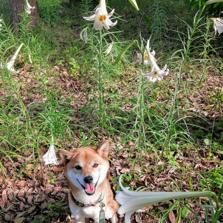 04874484 907e 4eca ae5c 7624c2afec8f 1628672290947