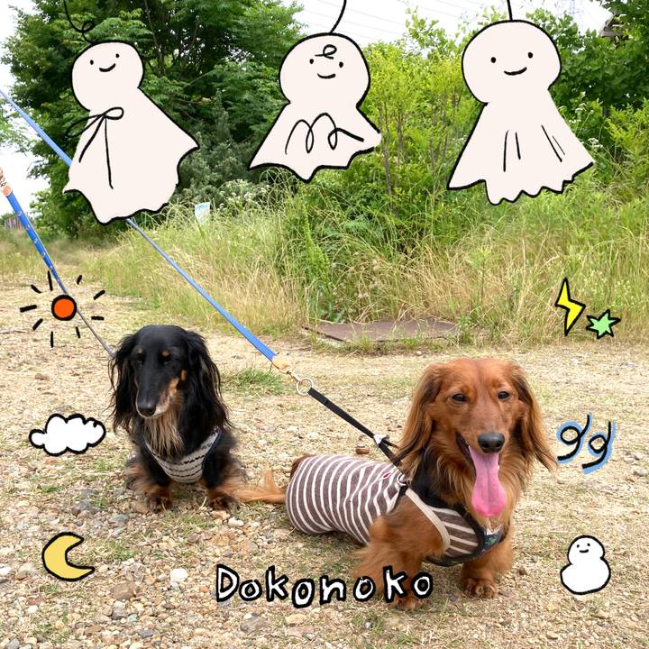 04874ee4 10fc 4131 b07a 2bf51451ba6e 1749449028214