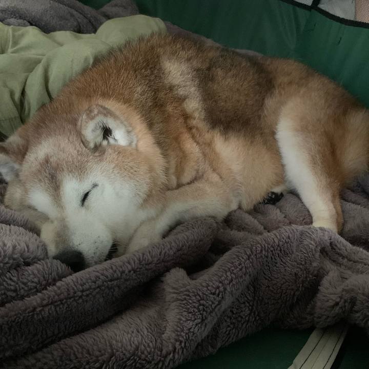 048784b8 8573 4a06 9f42 c632f6820a8f 1698453838006