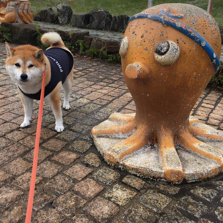 04878933 def9 4e05 9103 0e5a5aad0a85 1570493827171