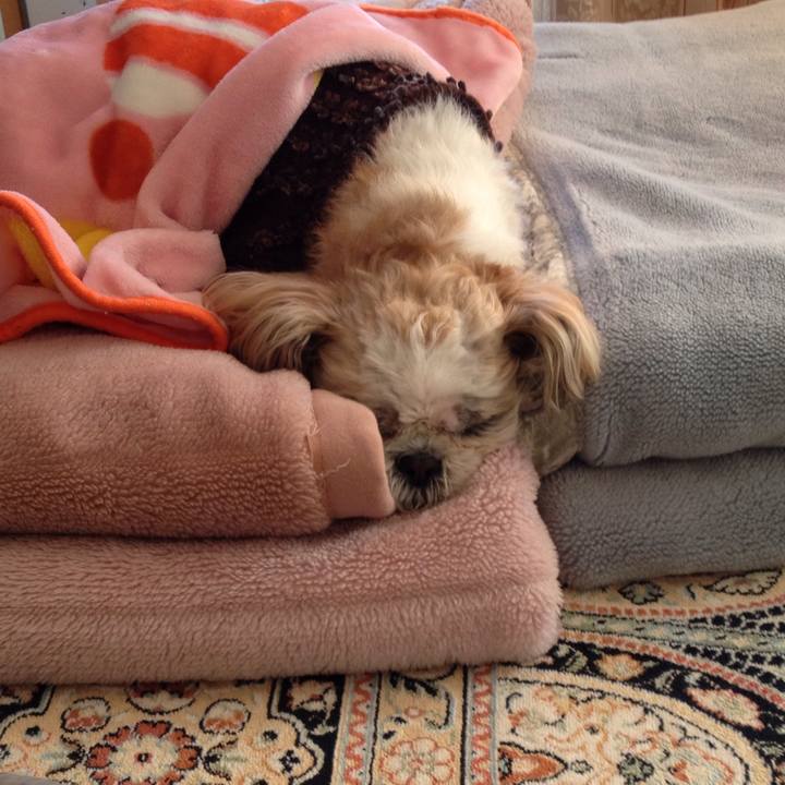 04879c50 e957 41f4 a3f5 f5d8d89323da 1515897316064