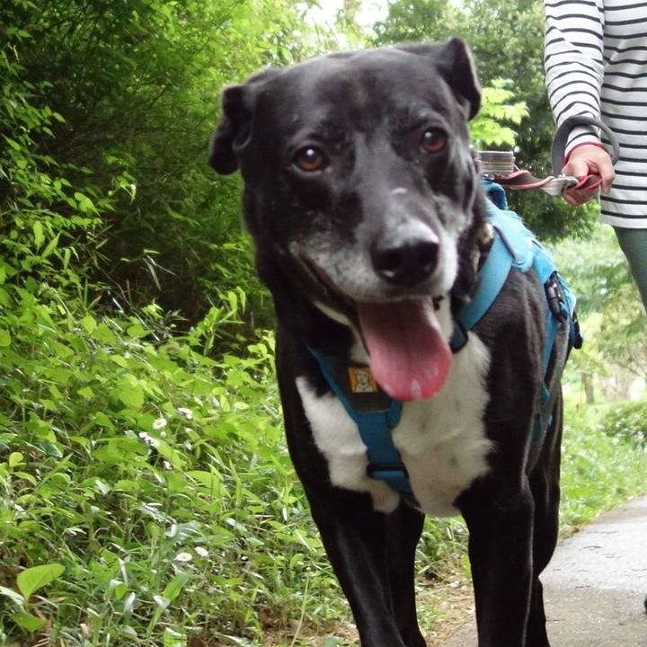 0487bcfc 381c 4f5f 999d 9adab9e348f6 1715042308527