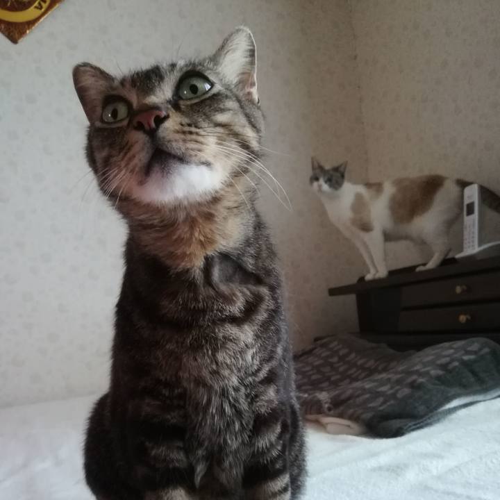 0487e3b1 00d5 4738 a28c 18342f414eba 1558430157514