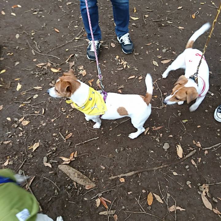 04881e93 1c1c 4963 9d62 543b15ac8dab 1509178053978