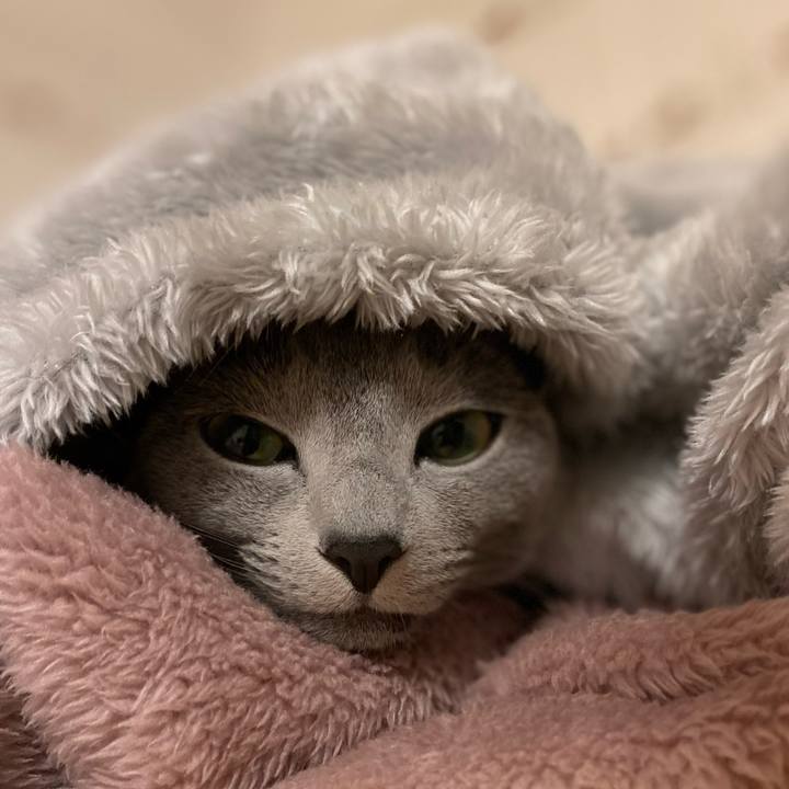 04888ab3 8153 4606 a07d 79c34bf70bb6 1645922767908