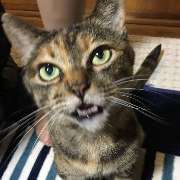 04888e0a 06d6 462e 890f ca241392d60f 1533377435122