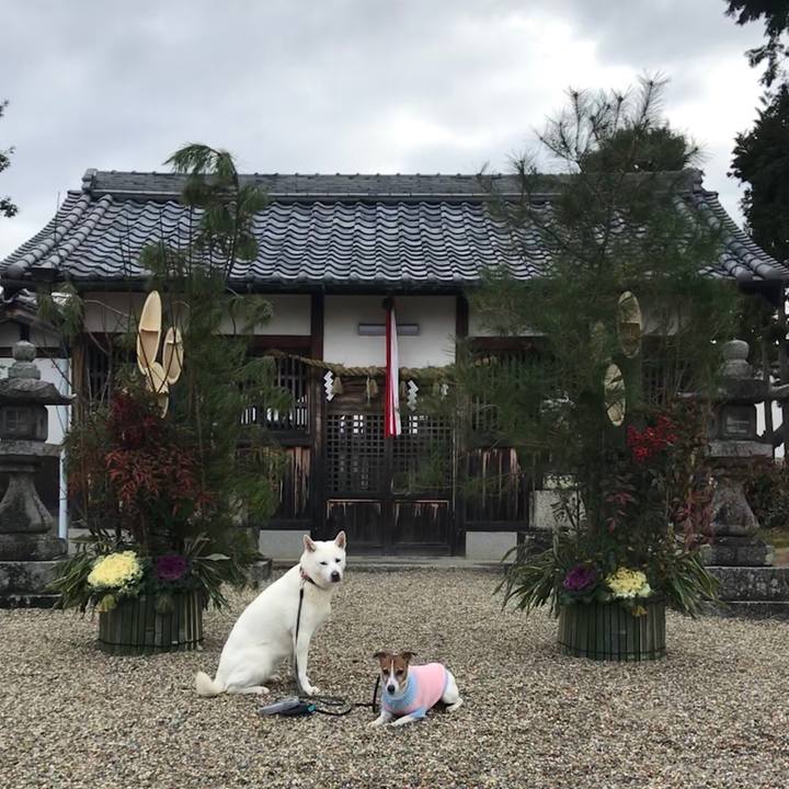 0489096c cf49 4d74 956c 522784e10f70 1514593802271