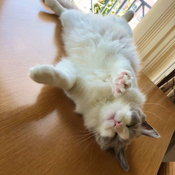 04892e96 34ae 46b6 8e81 75001c965dbd 1602204604804