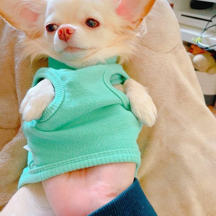 04895be8 000d 42ba 943c 69e07ea255a6 1635142196401