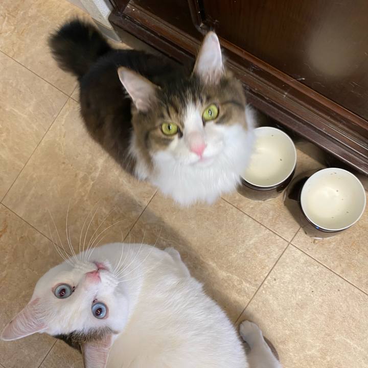 04895cd0 46ec 4286 903a 2a3f53ae4aa6 1736900064158