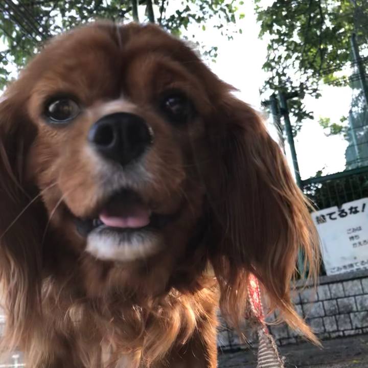 04897ea5 ee04 4b51 be0b 0025f33d51ab 1590222284347