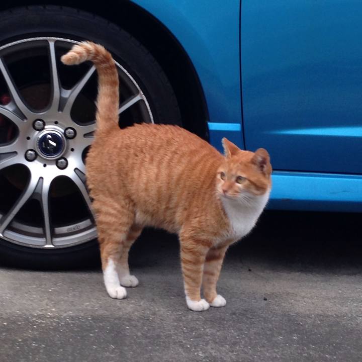 04899ac0 5688 47ad 8d95 05656f0ec5d4 1508851774347