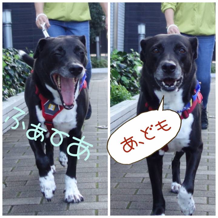 0489d835 d45a 4e39 8ede 1f1aebd85fd1 1666140739040