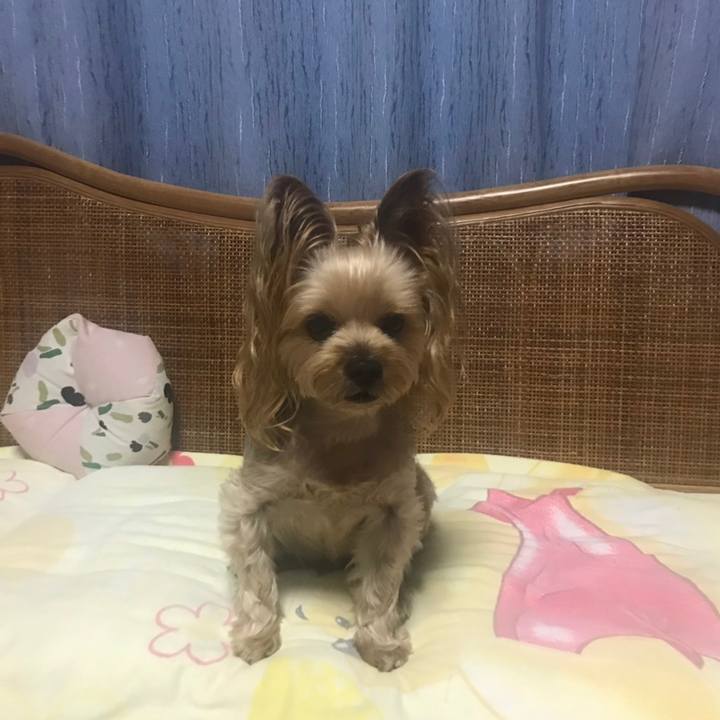 048a0dfd 42cc 440a 91c1 3dd89fefabc0 1567247856268