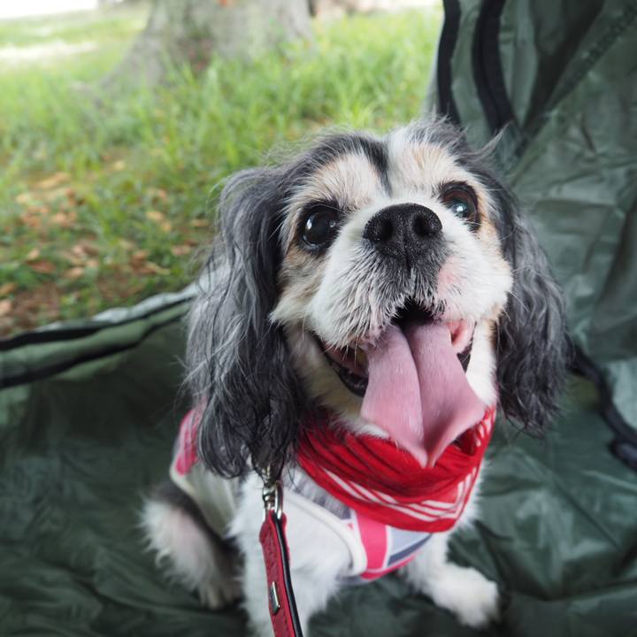 048a3169 b651 4ddd acc3 094559007933 1566704163941