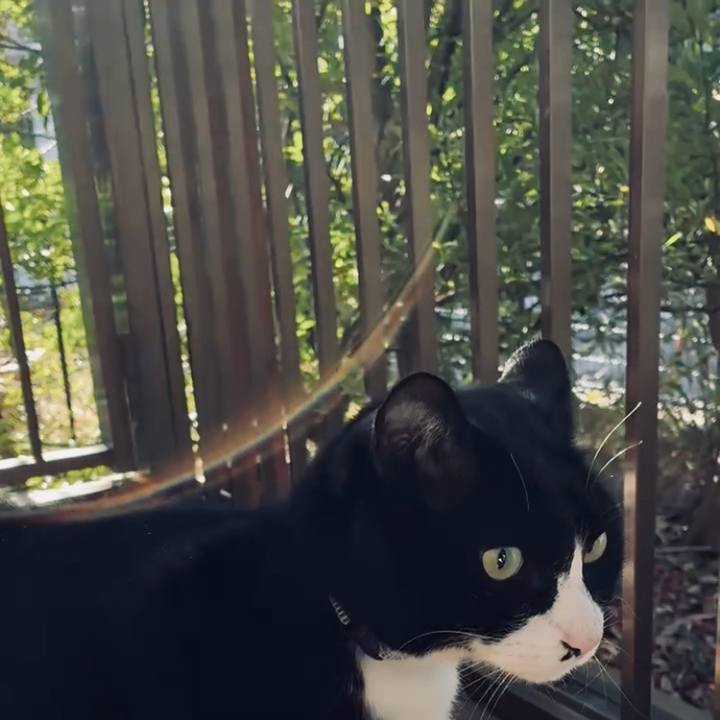 048a3a14 0d09 4933 ac0c 35d9892e7d6c 1768185136942