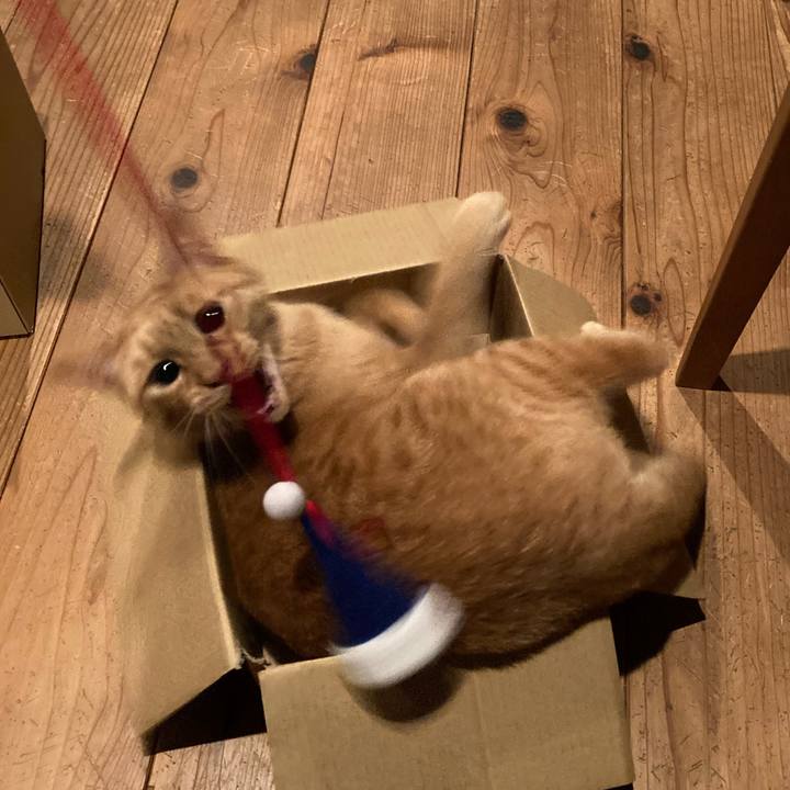 048a635b bec6 47d9 ab3f 7b69417235a2 1620652284991