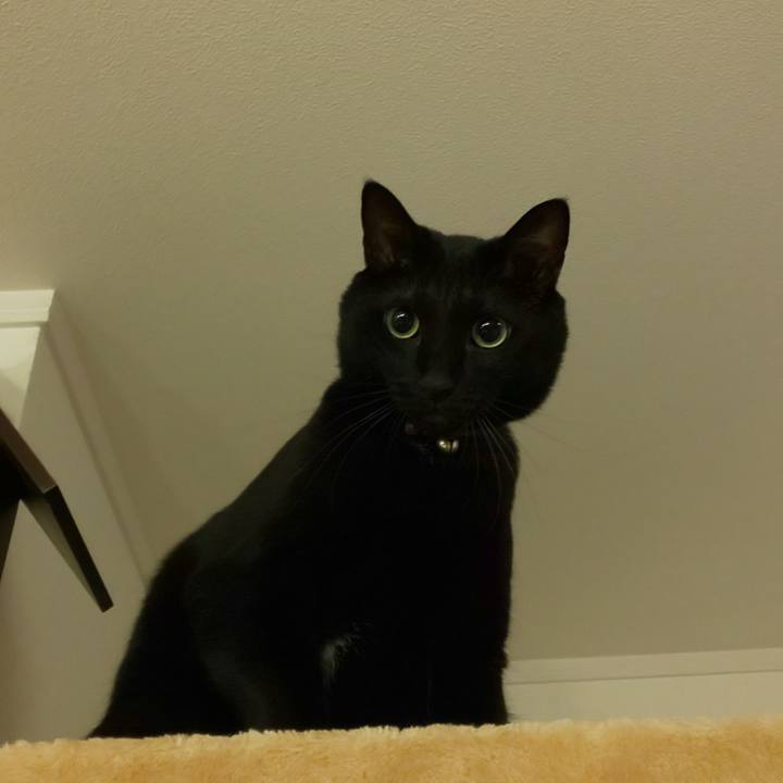 048a6f39 5c19 411c 9d75 812e19225a45 1600987303980