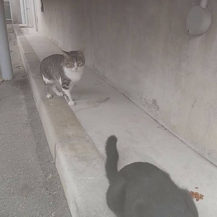 048a89a3 da8b 46ef 9d00 5562e1ee622b 1569626716201