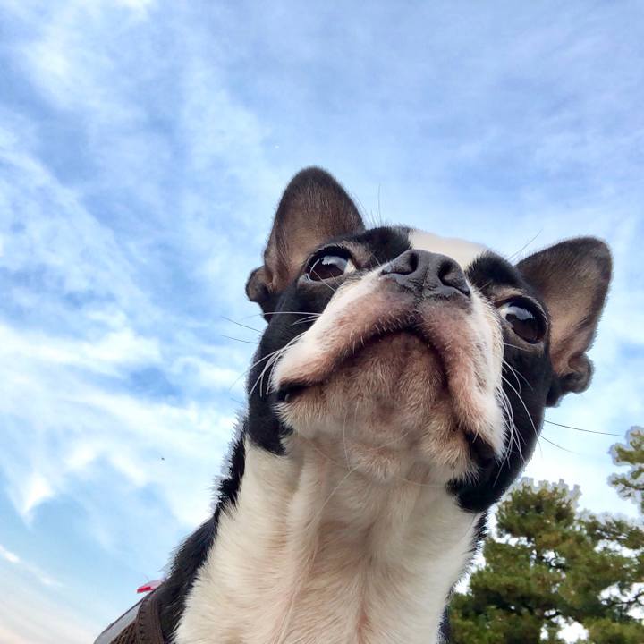 048aa761 3a19 4a49 a924 8c73a5397090 1514014624360