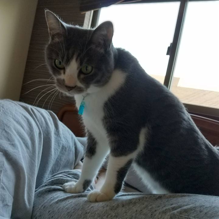 048ad803 842c 4a3b 96b9 0a485658995c 1643333570033