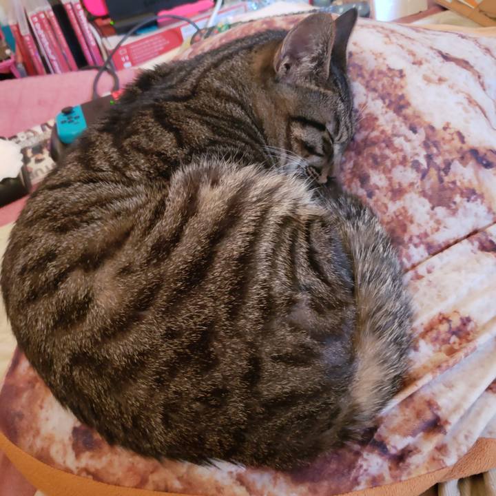 048b6465 9975 49f0 881c 71075933febb 1549001804673