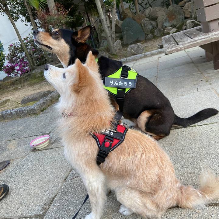 048b719f 0fd0 43da 82f4 970e7991ed5f 1650894602012